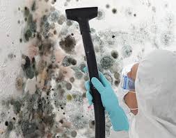 Best Forensic Mold Investigation in USA